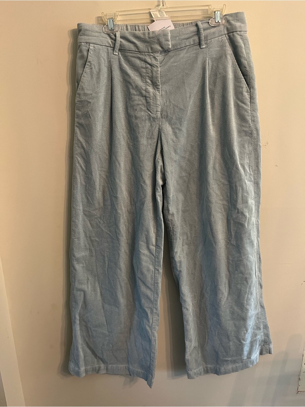 American Eagle Wide Leg Trouser Corduroy